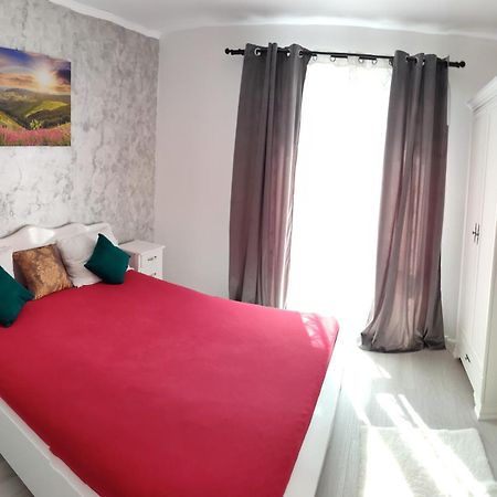 Apartament Gabriela Baia Mare Exterior foto